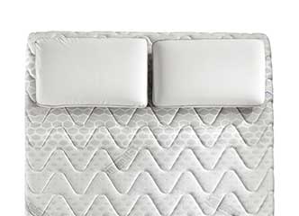 MPO225AA00536 332x240 desc MagniStretch 9